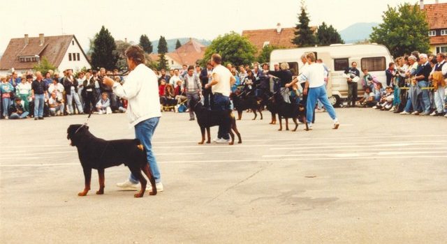 ADRK KS’1988 Rottweil