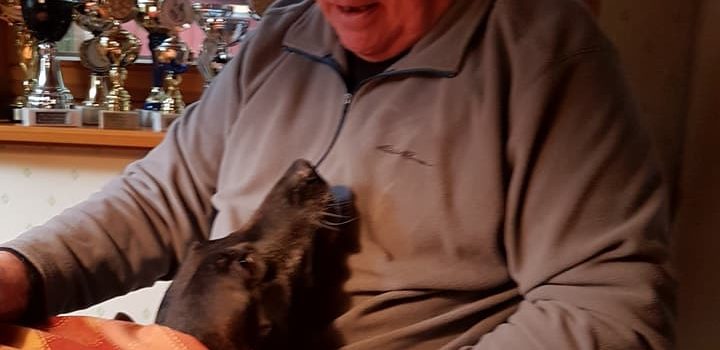 Dildei módszer ő-v