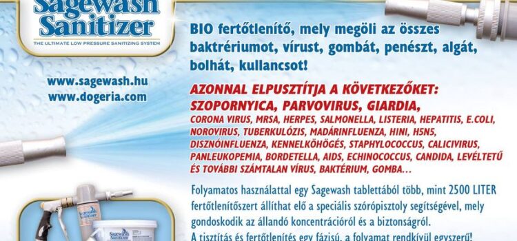 A PARVO virus okozta bélgyulladás A PARVO virus okozta bélgyulladás