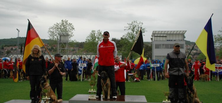 Két munkakutyás világbajnokról