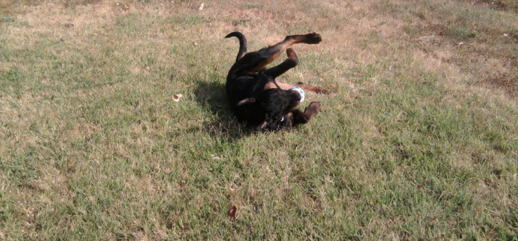 Add át nekem Add át nekem