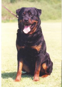 Vaith vom Schwaiger Wappen 