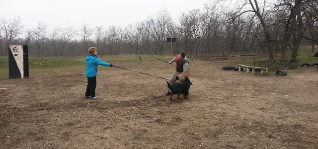 IGP őrző-védő gyakorlatokról IGP őrző-védő gyakorlatokról