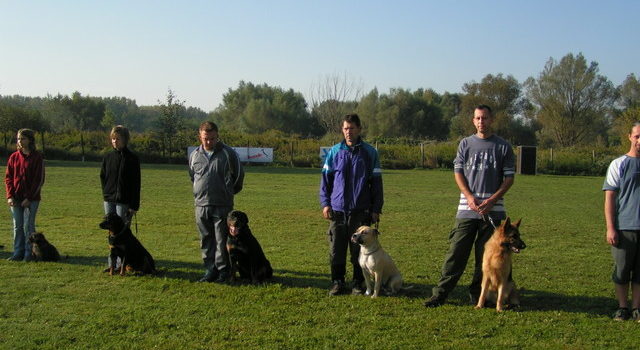 Ösztön vagy tanulás eredménye
