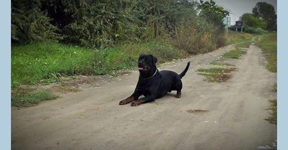 Elsősorban el kell érned Elsősorban el kell érned